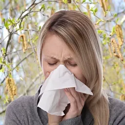 Весенняя аллергия 2026: календарь цветения