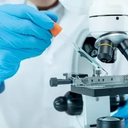 Создание ароматных продуктов и их польза для здоровья