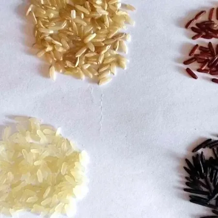 Выбор риса по типу и пользе