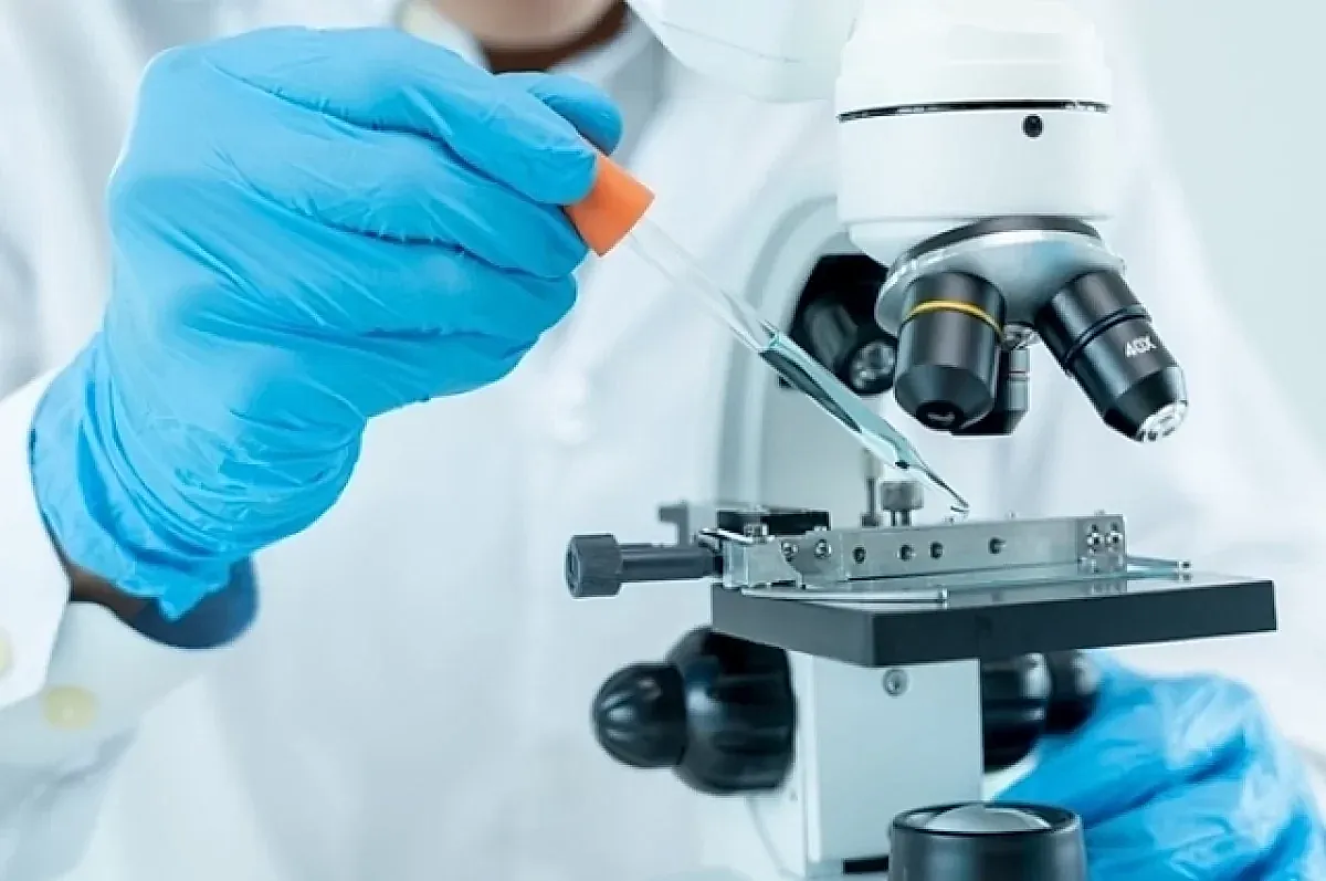 Создание ароматных продуктов и их польза для здоровья