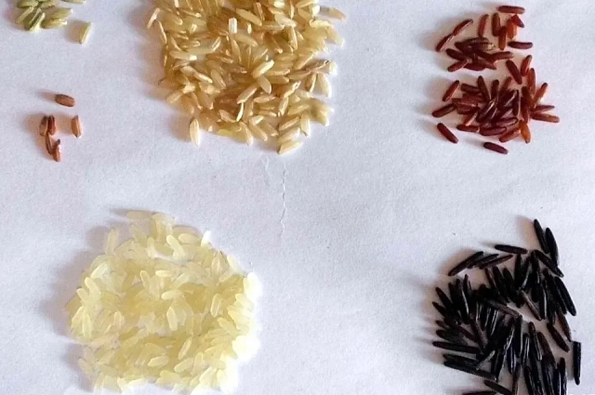 Выбор риса по типу и пользе